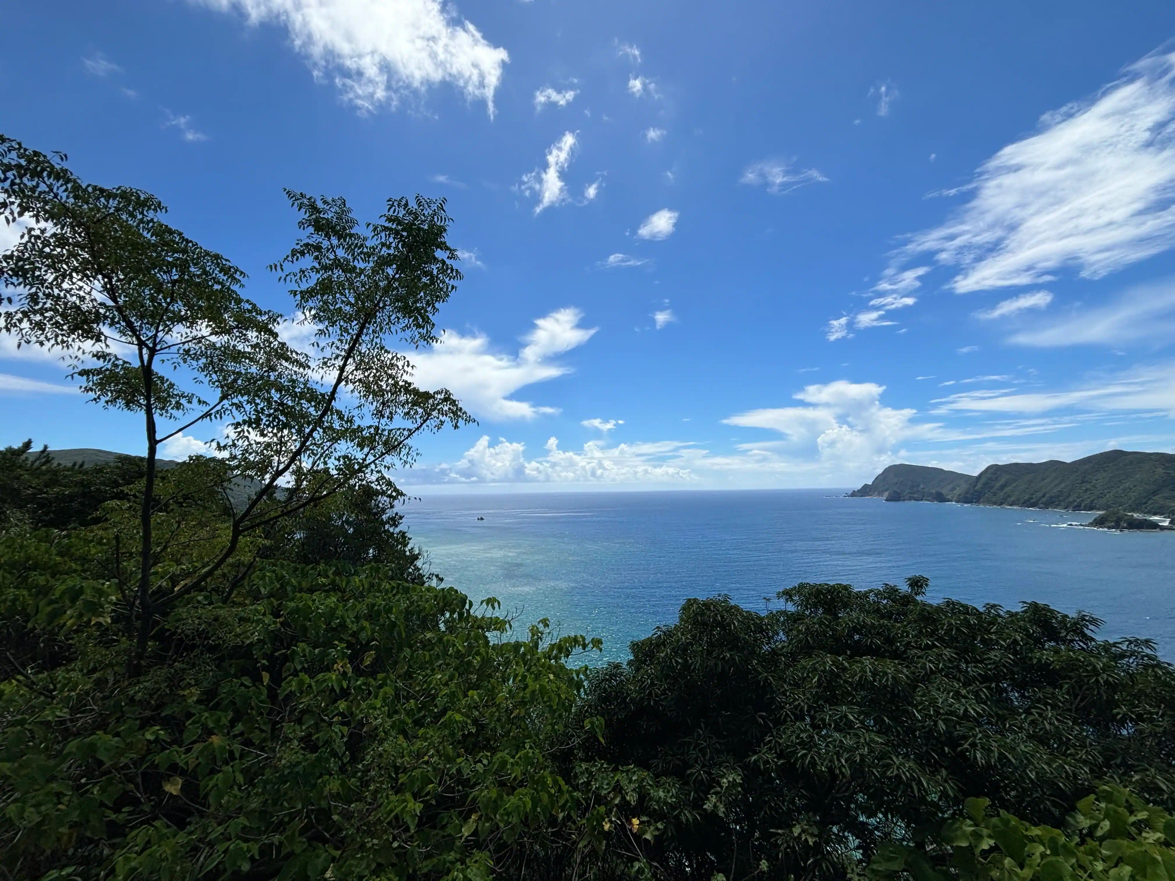 水が海を覆っている